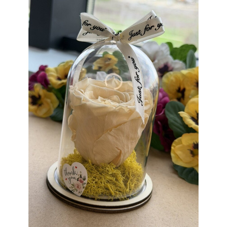 Естествена вечна роза в PVC купол W33