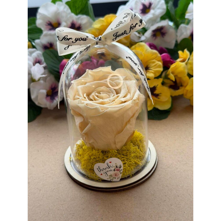 Естествена вечна роза в PVC купол W33