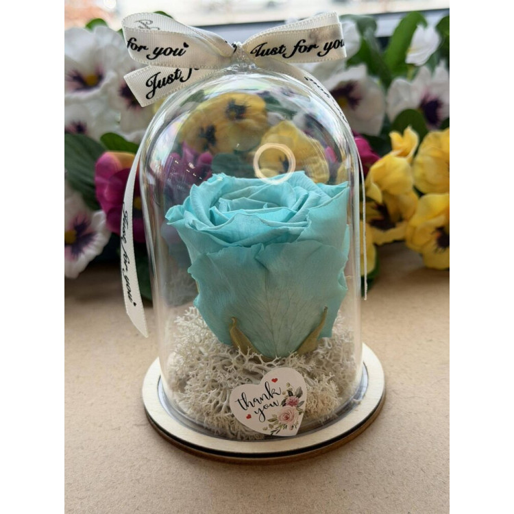 Естествена вечна роза в PVC купол W34