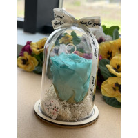 Естествена вечна роза в PVC купол W34