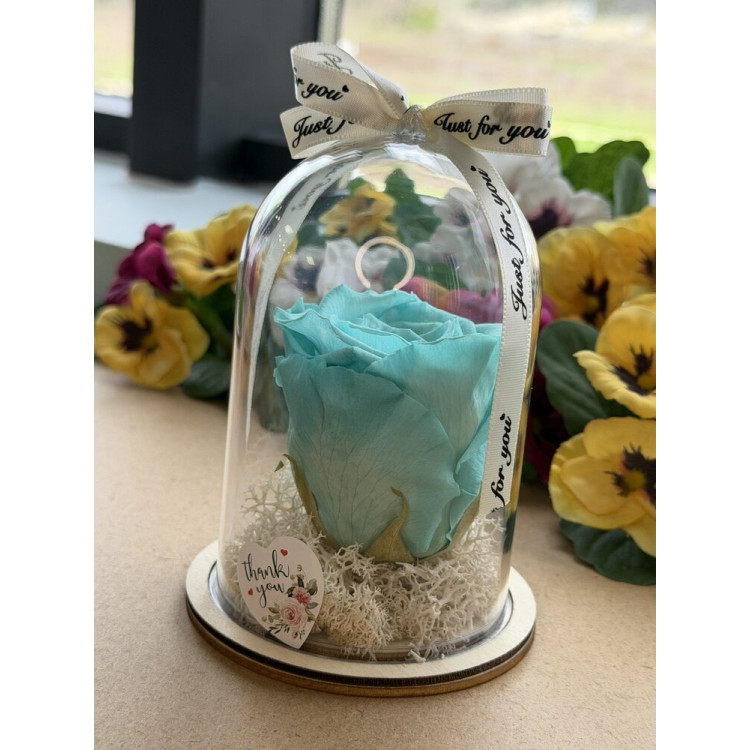 Естествена вечна роза в PVC купол W34