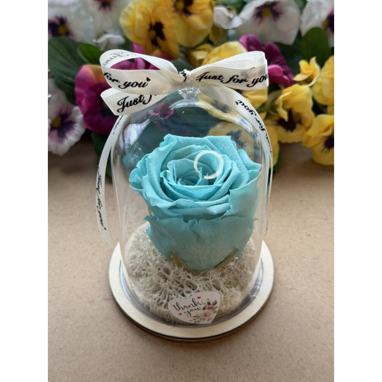 Естествена вечна роза в PVC купол W34