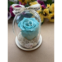 Естествена вечна роза в PVC купол W34