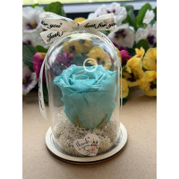 Естествена вечна роза в PVC купол W34