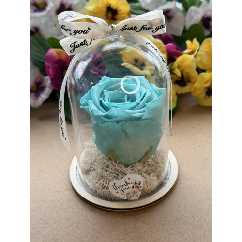 Естествена вечна роза в PVC купол W34