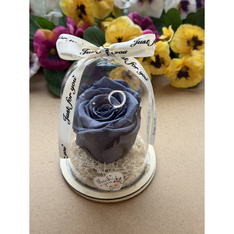 Естествена вечна роза в PVC купол W35