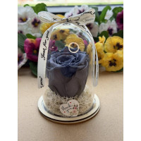 Естествена вечна роза в PVC купол W35