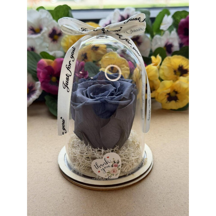 Естествена вечна роза в PVC купол W35