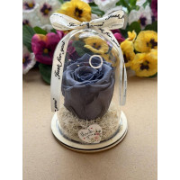 Естествена вечна роза в PVC купол W35