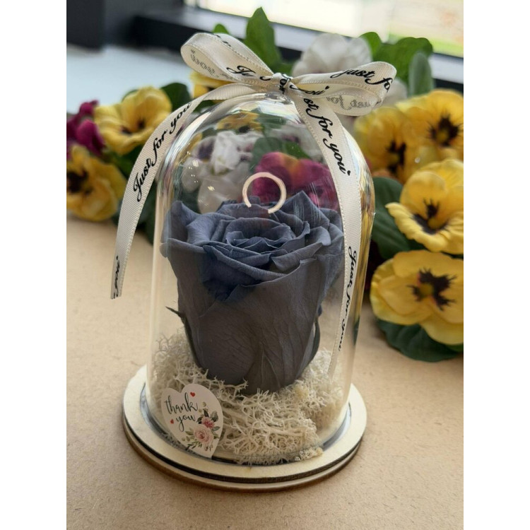 Естествена вечна роза в PVC купол W35