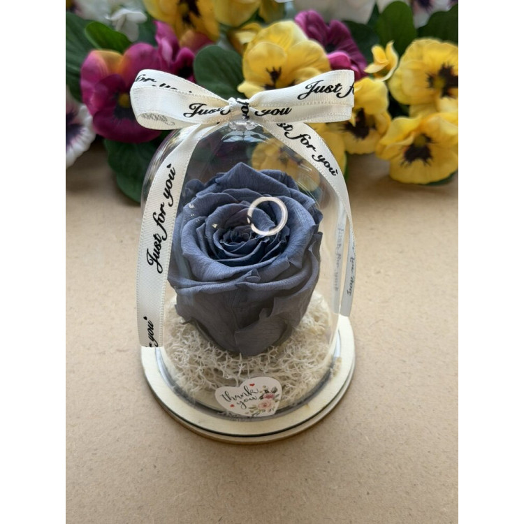 Естествена вечна роза в PVC купол W35