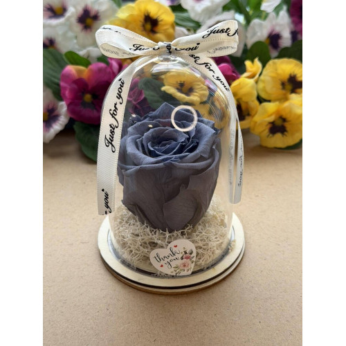 Естествена вечна роза в PVC купол W35