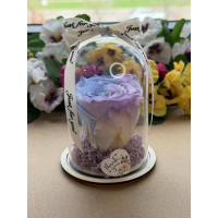 Естествена вечна роза в PVC купол W36