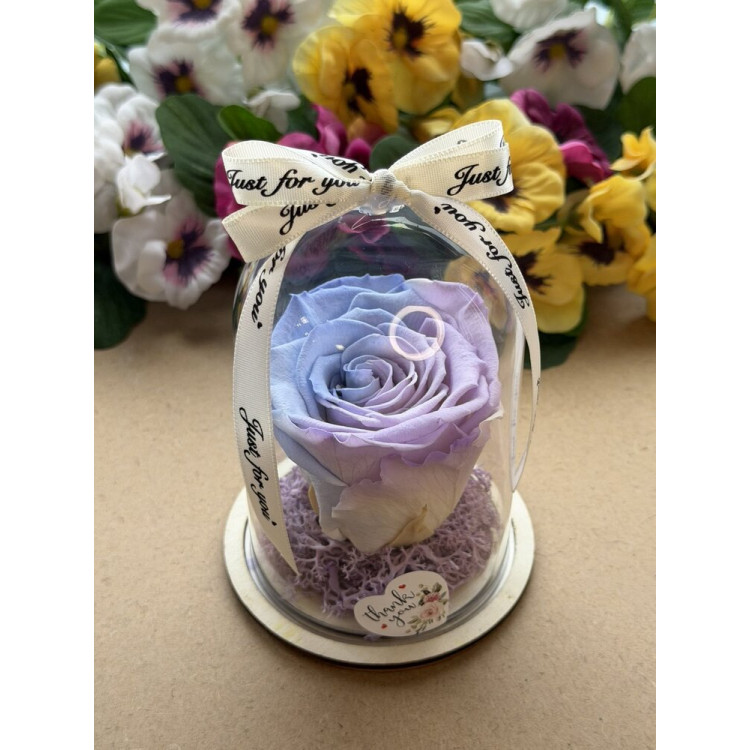 Естествена вечна роза в PVC купол W36