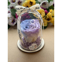 Естествена вечна роза в PVC купол W36