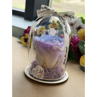 Естествена вечна роза в PVC купол W36