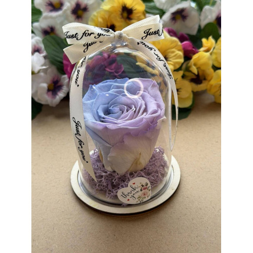 Естествена вечна роза в PVC купол W36