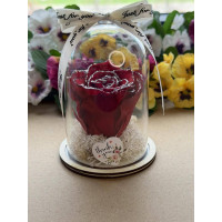 Естествена вечна роза в PVC купол W37