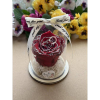 Естествена вечна роза в PVC купол W37