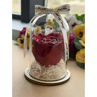 Естествена вечна роза в PVC купол W37