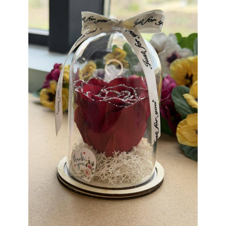 Естествена вечна роза в PVC купол W37