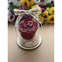 Естествена вечна роза в PVC купол W37