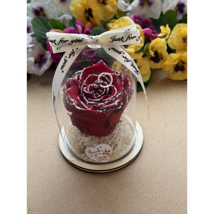 Естествена вечна роза в PVC купол W37