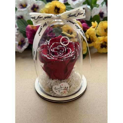 Естествена вечна роза в PVC купол W37