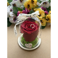 Естествена вечна роза в PVC купол W38