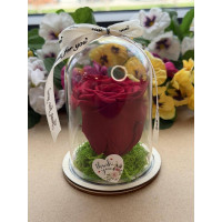 Естествена вечна роза в PVC купол W38