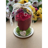 Естествена вечна роза в PVC купол W38