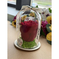 Естествена вечна роза в PVC купол W38