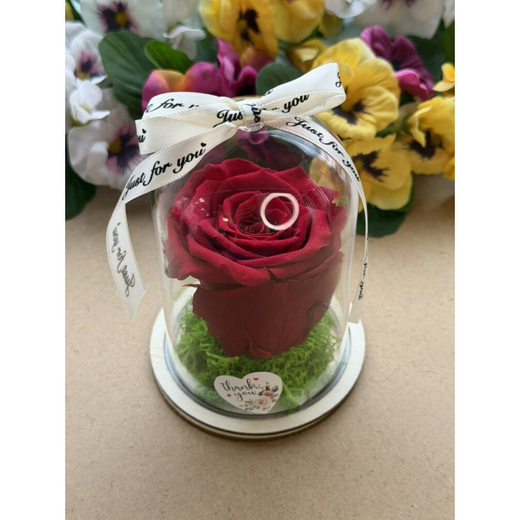 Естествена вечна роза в PVC купол W38