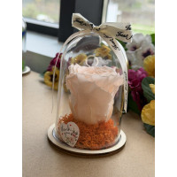 Естествена вечна роза в PVC купол W39