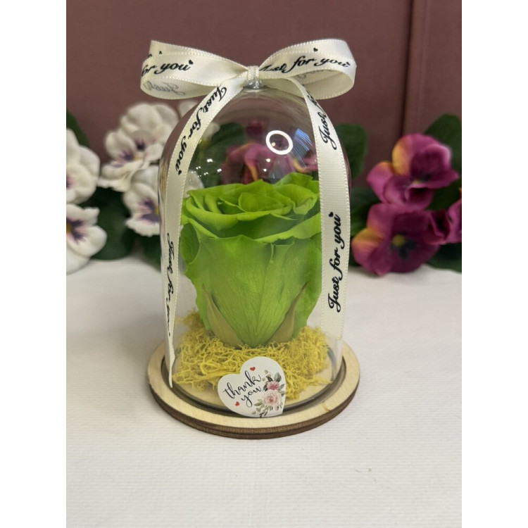 Естествена вечна роза в PVC купол W4