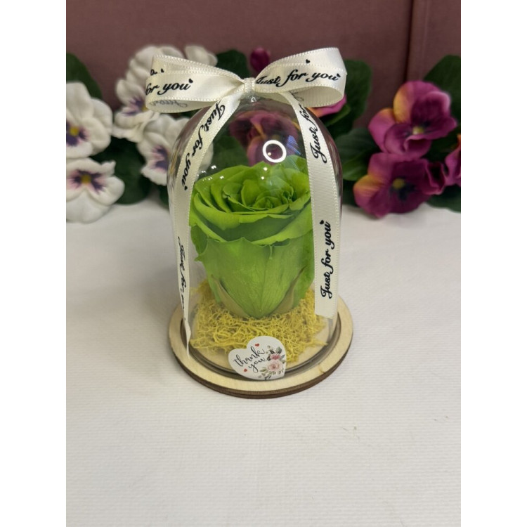 Естествена вечна роза в PVC купол W4