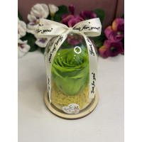 Естествена вечна роза в PVC купол W4