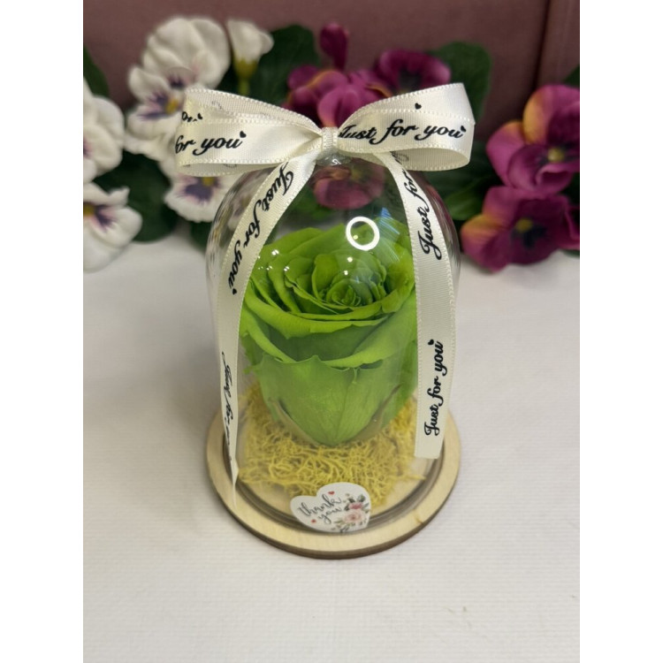 Естествена вечна роза в PVC купол W4