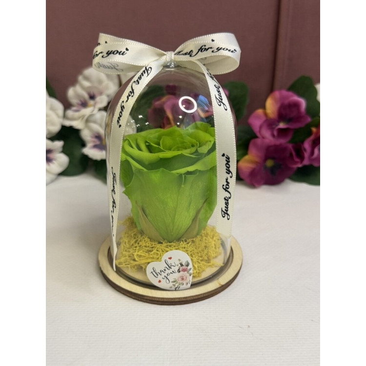 Естествена вечна роза в PVC купол W4