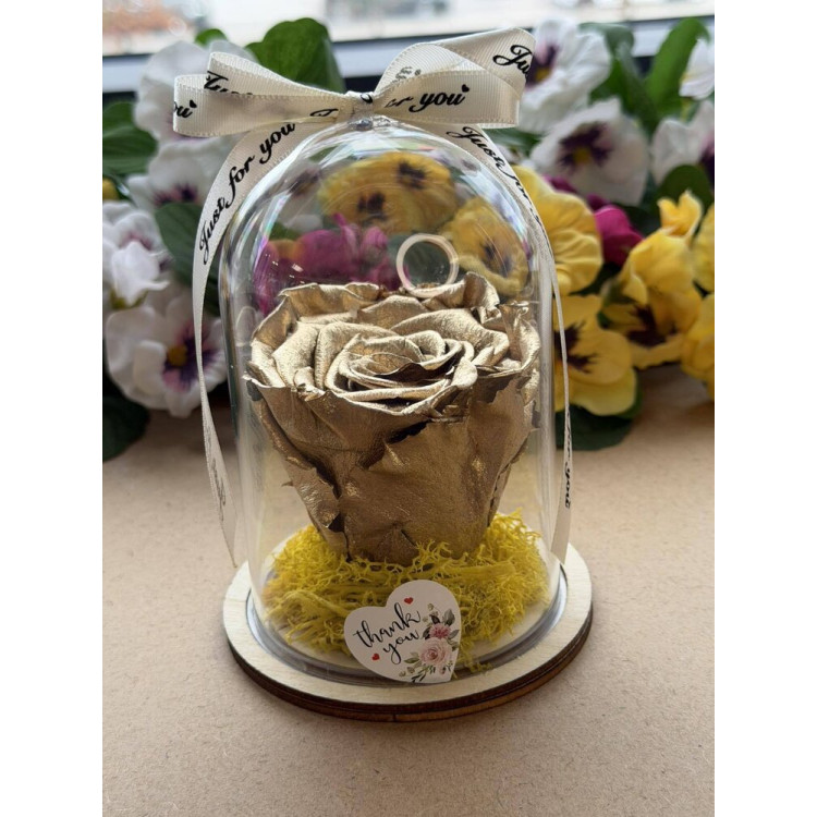 Естествена вечна роза в PVC купол W40