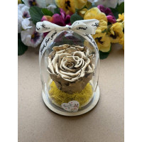 Естествена вечна роза в PVC купол W40