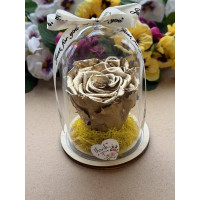 Естествена вечна роза в PVC купол W40