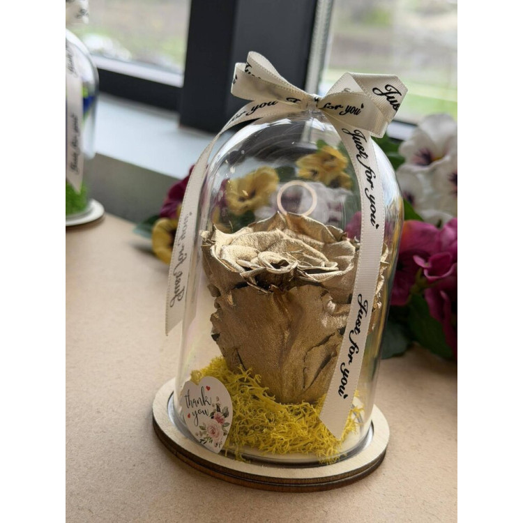 Естествена вечна роза в PVC купол W40