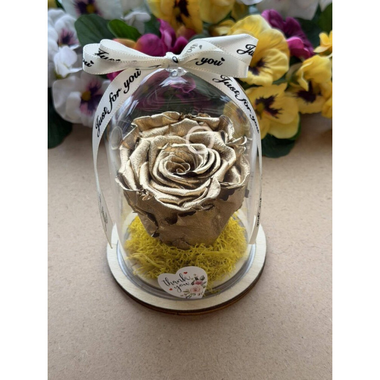 Естествена вечна роза в PVC купол W40