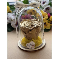 Естествена вечна роза в PVC купол W40