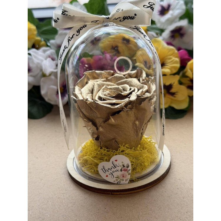 Естествена вечна роза в PVC купол W40