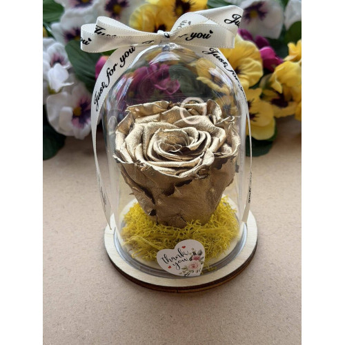 Естествена вечна роза в PVC купол W40