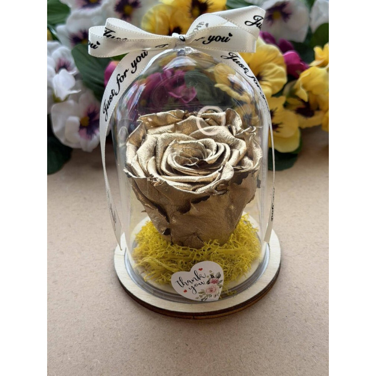 Естествена вечна роза в PVC купол W40