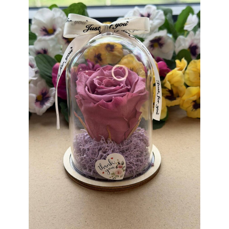 Естествена вечна роза в PVC купол W41