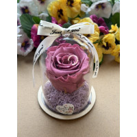 Естествена вечна роза в PVC купол W41